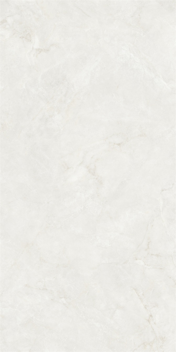 AC816121L-5.jpg