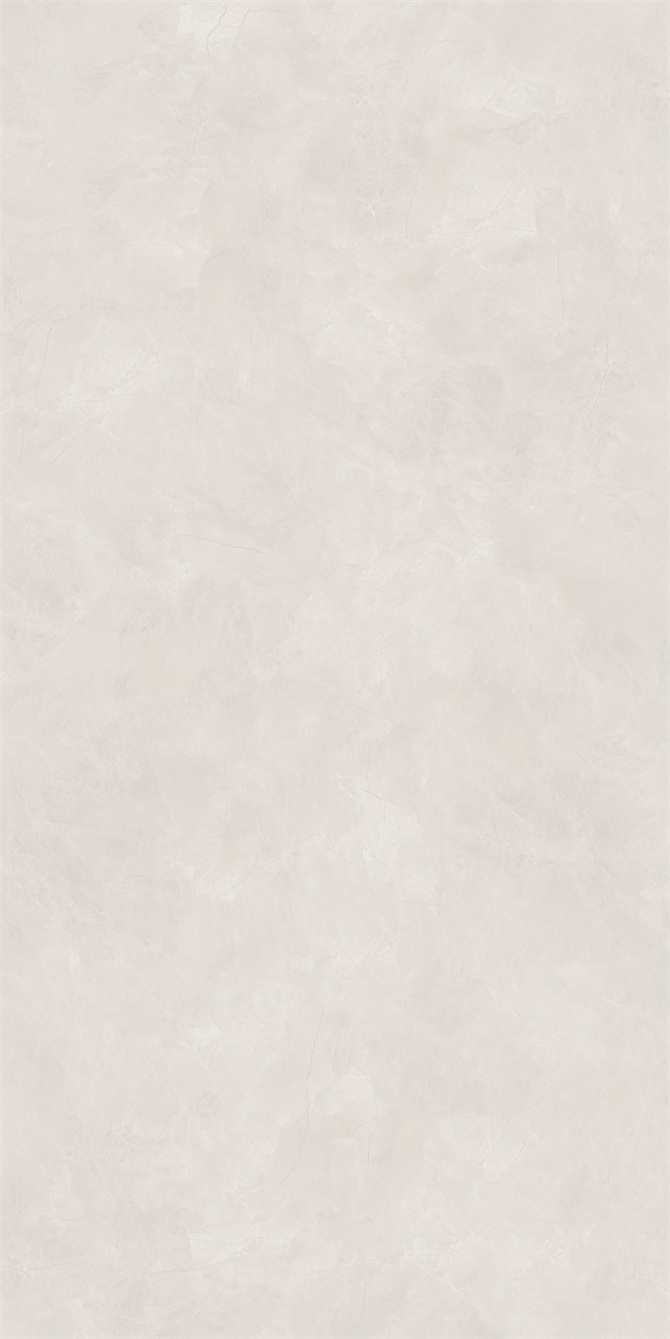 AS840252L -1.jpg