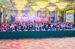 荣耀加冕！箭牌瓷砖荣获“建陶30年领军品牌”，见证行业标杆实力